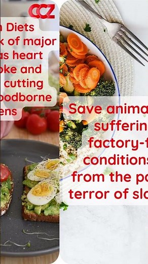World Vegetarian Day