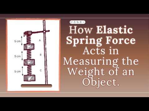 How Elastic Spring Force Acts in Measuring the Weight of an Object