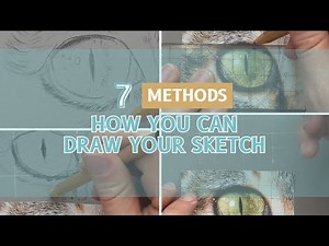 7 Methods for Drawing Your Sketch in your Animal Portraits - Sabine Lackner Pastel Artist