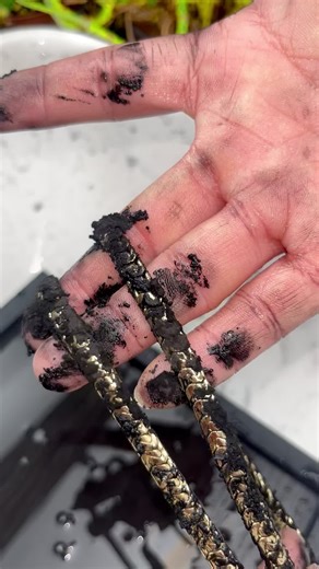 Discover Unique 14K Jewelry at Holy Legend Jewelry