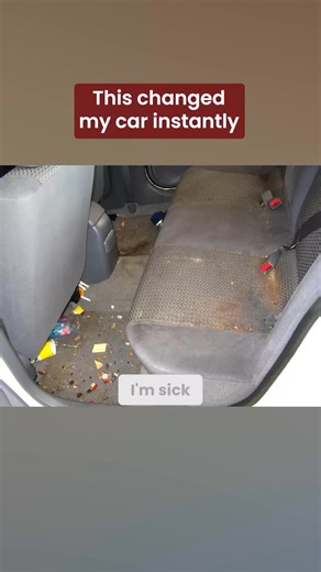 Refresh your car interior with Trunki seat covers 🚗 A stylish upgrade that adds comfort and protects against daily use. ✅ Durable materials ✅ Elegant stitched design ✅ Hassle-free maintenance ⭐ Trusted by car enthusiasts Explore now 👉 | Trunki