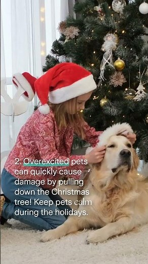 Check out our checklist of common holiday home insurance claims and how to avoid them!