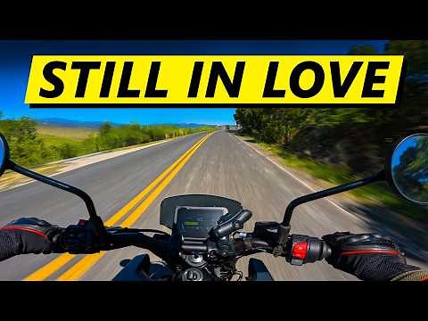 2025 Husqvarna Svartpilen 401 First Ride and Review