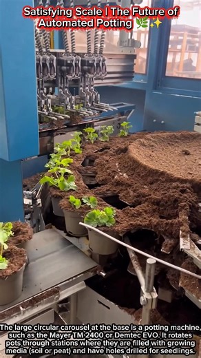 Satisfying Scale | The Future of Automated Potting 🌿✨