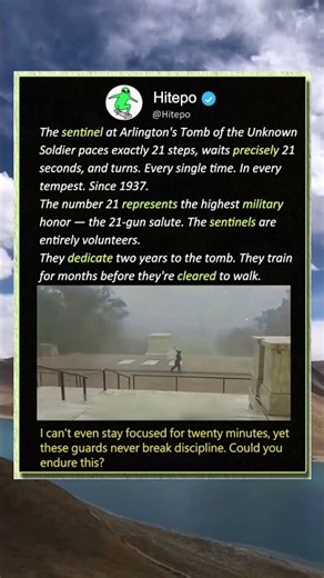 Why Arlington Guards NEVER Break Their 21-Step Rule! 🎖️ #Military #History #Respect