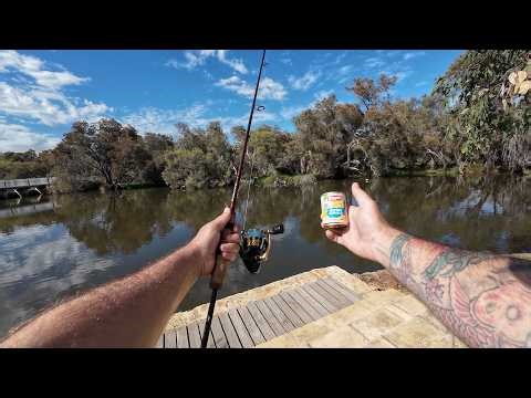 Fishing the Upper Canning with CORN (This fish Shouldn't be here)