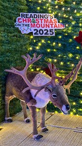 47K views · 751 reactions | For 34 years, Hillside Playground on North 14th Street has been transformed into a dazzling holiday landmark known lovingly as “Christmas on the Mountain.” The largest free Christmas light display in the United States, this cherished tradition now features over 5 million LED lights and pixels, along with an ever-growing collection of inflatables, vintage displays, modern décor, and immersive character experiences. | Berks Weekly | Facebook