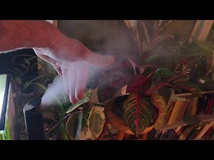 GloryAir Large Room Humidifier Review