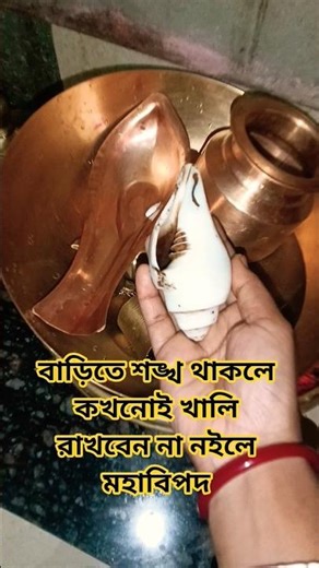 If you have a conch shell at home, never leave it empty #trending #minivlog #facts #youtubeshorts...