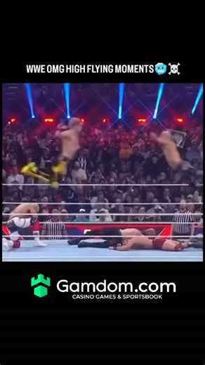 founder_flow I Business | Entrepreneurs on Instagram: "WWE OMG HIGH-FLY MOMENTS 🤯🔥 These weren’t just moves… they were heart-stopping leaps of faith. One blink and gravity gets disrespected. Bodies flying. Crowds screaming. Time freezing mid-air. From insane dives off ladders and cages to springboards that made no sense, these moments were pure adrenaline. No hesitation. No fear. Just wrestlers trusting instinct, timing, and insanity — knowing one wrong landing could change everything. This is