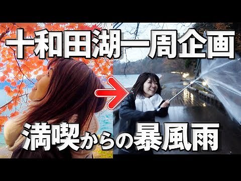 【ドライブ】11月の十和田湖一周したら紅葉と嵐がみれました【展望台巡り】