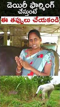 Dairy Farmingలో తప్పక పాటించాల్సిన జాగ్రత్తలు | #Shorts #DairyFarm #DairyTips #MilkProduction