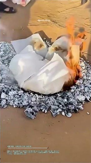 紙膜の魔法：大餅を炭火で焼く伝統の技