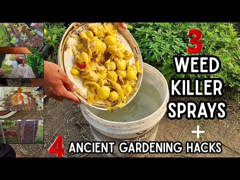“5 Genius Gardening Hacks You’ll Wish You Knew Sooner!”(3 weeds killer spray & 4 soil booster hacks)