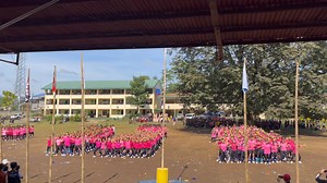 BNHS field demo grade 12 | Kristine Ramos
