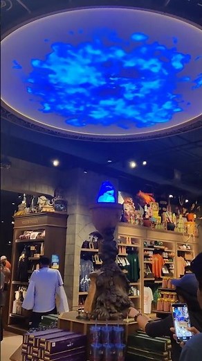 The FOMO Hook: You NEED to Visit the NEW Harry Potter Store in Chicago! ⚡️🪄#harrypotter