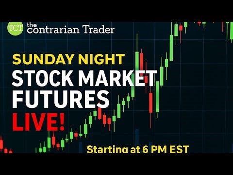 Bulls Cheer AI, Bears Warn Trouble