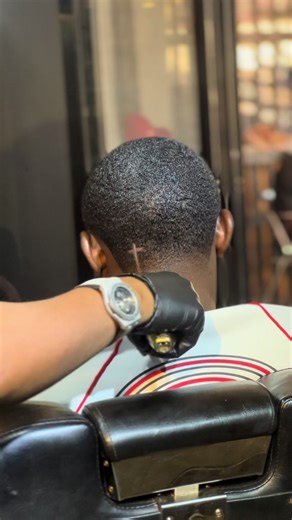 Elevate Your Hair Game: The Art of Elevation