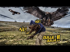 ÊTRE ATTAQUÉ par un AIGLE ROYAL : ÇA FAIT QUOI ?