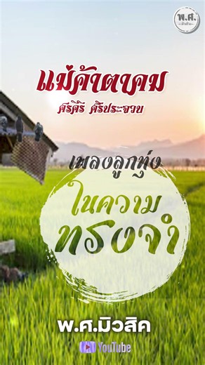 เพลงลูกทุ่ง ในความทรงจำ แม่ค้าตาคม - ศรคีรี ศรีประจวบ