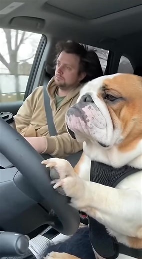 Professional (But Sleepy) Driver -Don’t Try This At Home- | Randy Gager