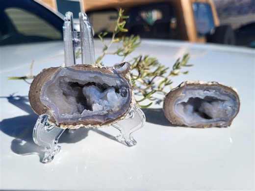 Geodes, Botryoidal With Chalcedony Banding- Polished - Etsy