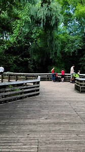 Prospect park zoo | Contrastes RK