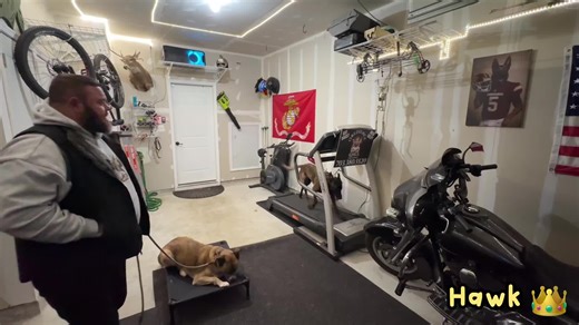 Hawks LOCKED IN 👑🔥 @Venom Body Art Hawk had another incredible session this afteroon. We took his place command outside, then brought that same clarity and structure straight onto the treadmill. While other dogs were moving and working around him, Hawk stayed focused, didn’t break stride, and didn’t lose his mind. No chaos. No guessing. Just clarity in his job and confidence in his task. This is what balanced training looks like when it’s done right — teaching a dog how to think, not just how 