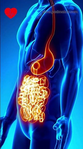 Why Dehydration and Digestion Affect BP #shorts #bloodpressuretruth #bp
