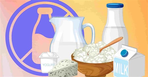 Solutions to improve lactose intolerance from fermented drinks