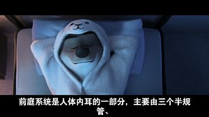 前庭的结构和功能