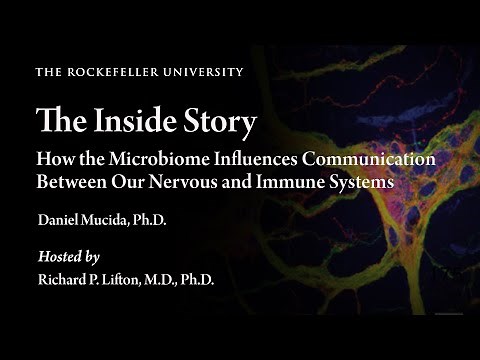 The Inside Story: How the Microbiome Influences Communication Between Our Nervous and Immune Systems