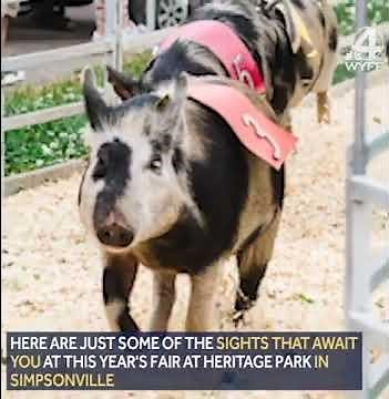 The Fair at Heritage Park in Simpsonville
