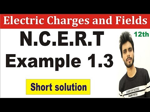 Physics N.C.E.R.T example 1.3 class 12th | example 1.3 physics class 12