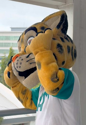 ¡Regresen ya! Jaguarcin los extraña