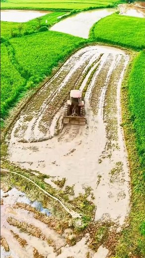 ~Farming Excellence🌾🔥