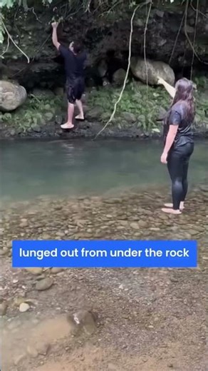 Python Lunged Out From Under The Rock And Bit Him😳 (@janno.bigcas/IG)