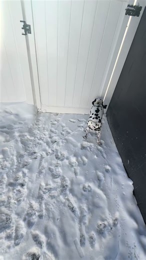 Understanding Object Permanence and ADHD