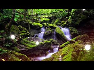 Nature - HD Video, No copyright videos,worship background,motion graphics, backgroundLoop