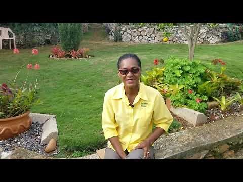 Beginner Landscaping Series, Part 1 Design Principles and Elements