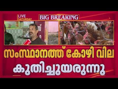 ചിക്കൻ അതിരുവിട്ടു...; സംസ്ഥാനത്ത് കോഴി വില കുതിച്ചുയരുന്നു | Chicken Price Hike | Poultry