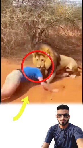 مغامرة غير متوقعة في قلب الغابة ماذا حدث #لايك #متابعه #ترند #shortvideo