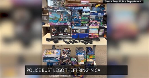 Brick bandit busted: Police dismantle LEGO theft ring