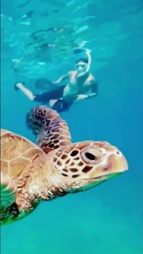 Virgin Islands National Park #nationalparks #nature #travel