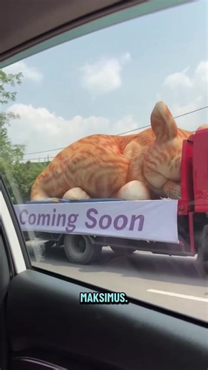 Kucing gede viral #fyp #vilmei #kucingraksasa #tiktok #vilmeichallenge