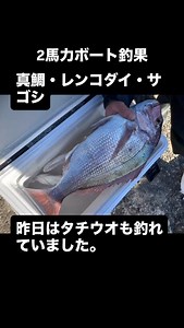 #民宿とね #釣り #敦賀 #レンタルボート #2馬力 #免許不要艇 | 釣り筏 民宿 とね