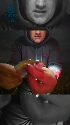 Catch of the Night! 😂 Baby Pouting at Hythe