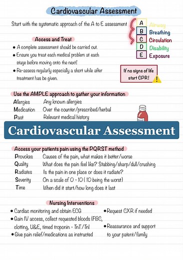Nursing education cardiovascular assessment #nursing #studentnurse #nursingstudent #nursingtiktoks #studentnursesoftiktok #cardiovascular #nursingnotes