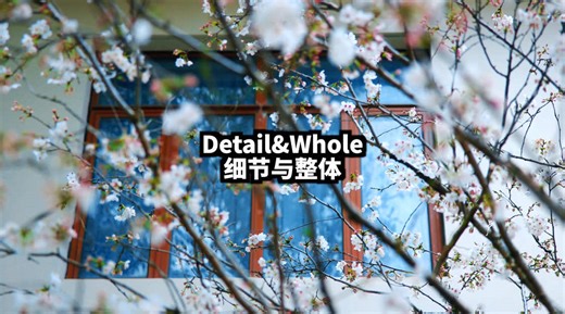 Detail&Whole｜细节与整体 #Cinematic #colorgrading #Filmmaking #tutorial #Shorts