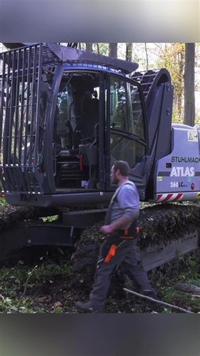 Waldpflege: Raupenbagger und Greifersäge im Einsatz